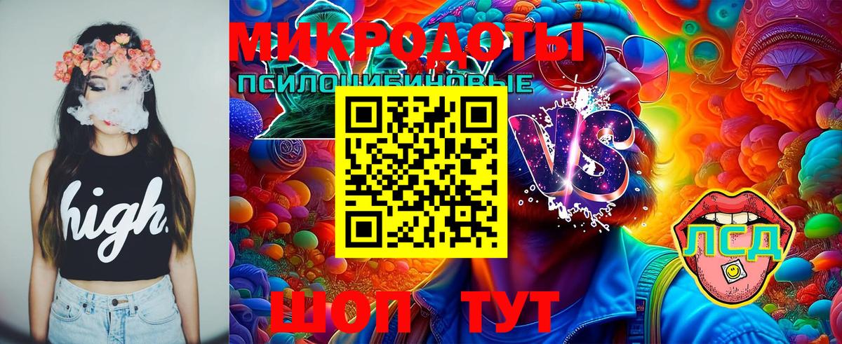Галлюциногенные грибы Psilocybine cubensis  Вход с VPN  Новошахтинск 